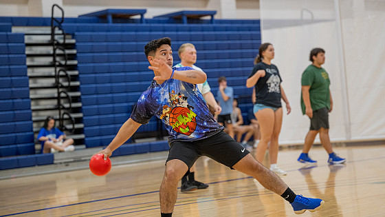Rec the Night 2024